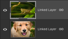 linked layers