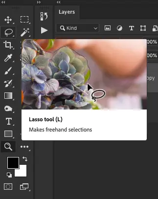 Search for the Photoshop Lasso Tool