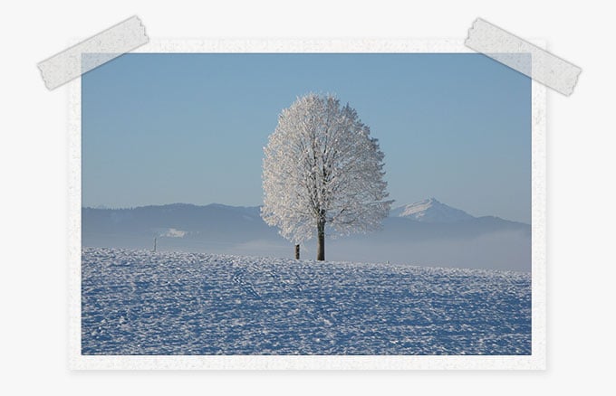 Free winter Photoshop Actions