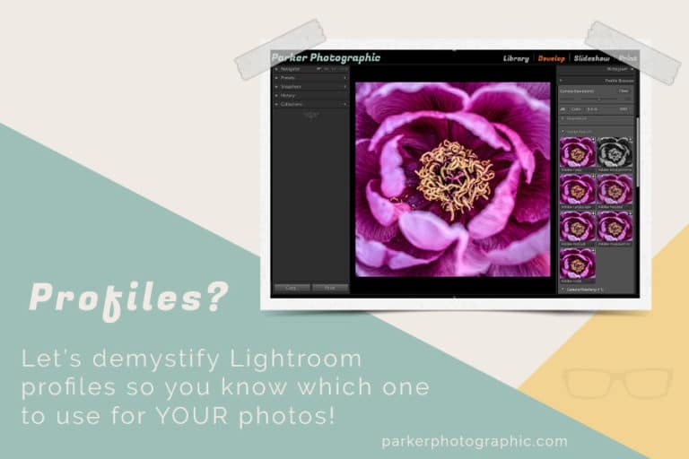 What are Lightroom profiles?